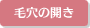 毛穴の開き