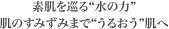 敏感な素肌にも潤いと艶を与える低刺激処方
